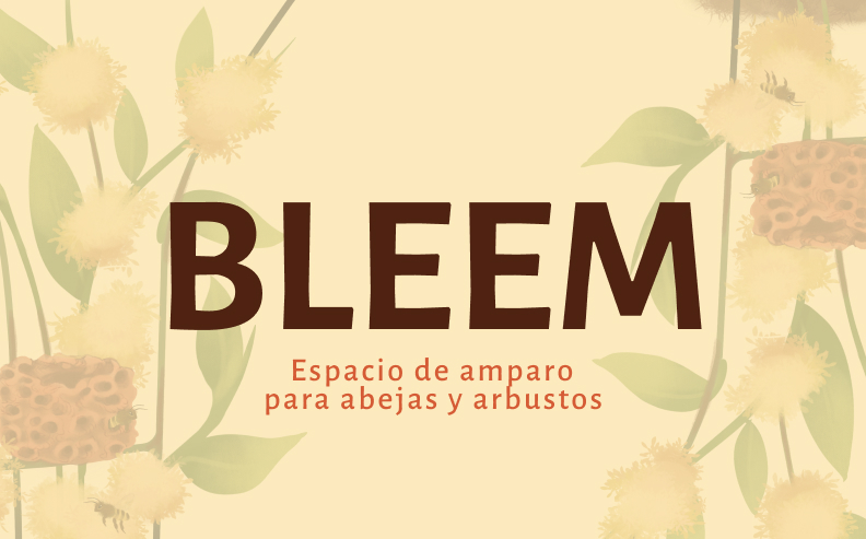 Descripción de la imagen